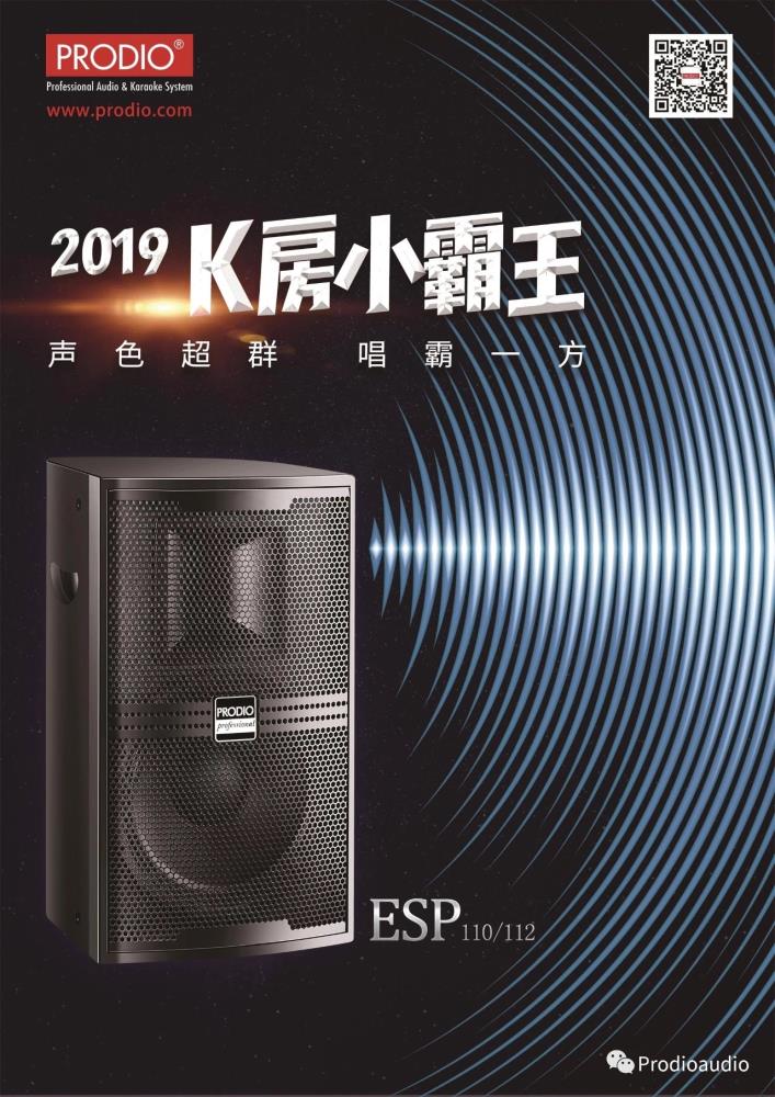 福建廈門寶迪奧音響ESP-112KTV音響