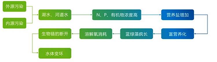 臨沂景觀魚池水處理方案廠家