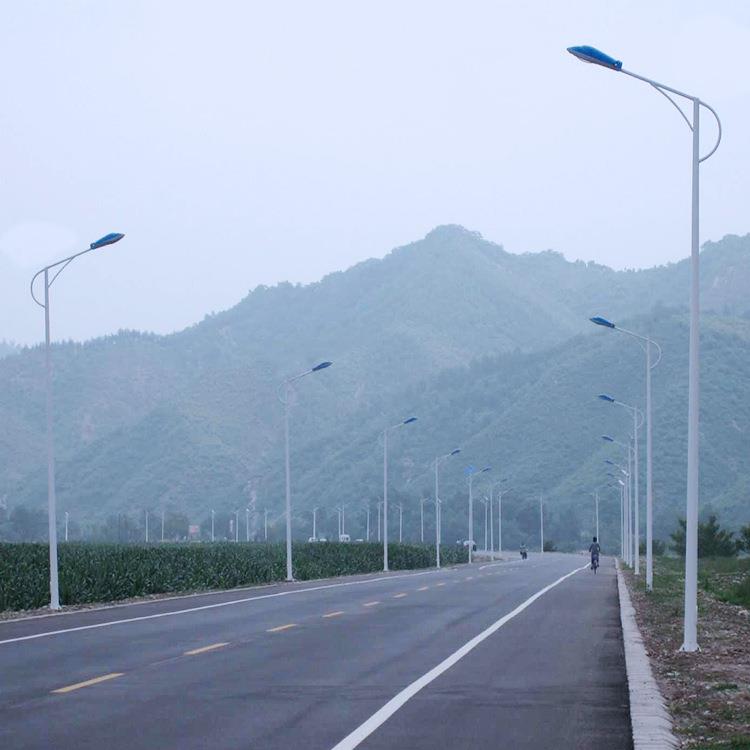 山東路燈桿生產廠家 新農村路燈