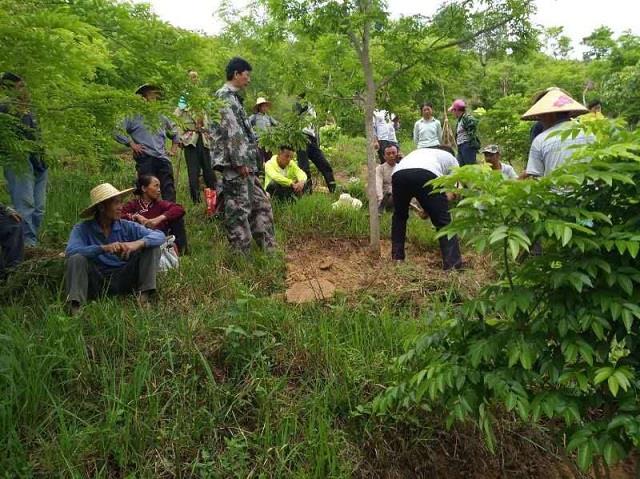 匯生林業(yè)涉嫌種植紅木技術(shù)為其帶來(lái)相同價(jià)值