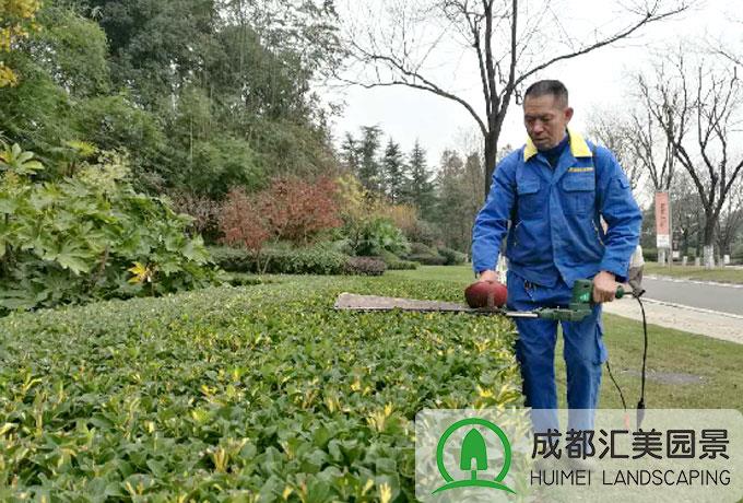 成都绿化养护小区物业庭院草坪乔木灌木管护服务