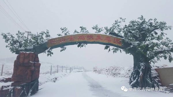 阳泉假树大门设计 假树大门设计景观公司