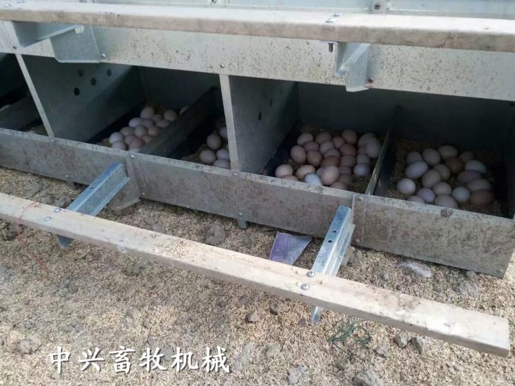 【鸡下蛋窝】室外用鸡下蛋窝产蛋箱厂家批发优质产蛋箱