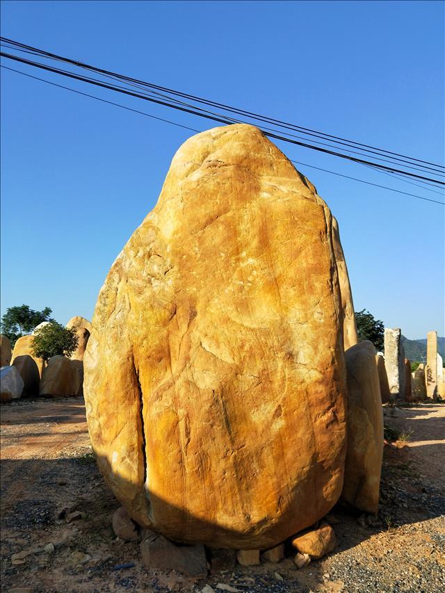 福建大型黃蠟石 招牌黃蠟石 公園大型黃蠟石