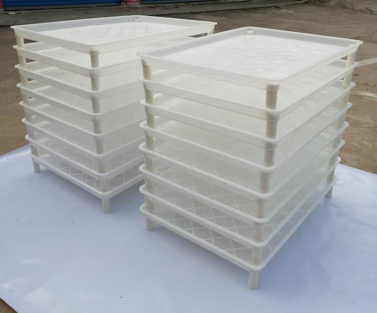 【塑料蚕匾】养蚕用具蚕具蚕箔共育盒蚕匾塑料蚕匾饲养筐小蚕共育盒大