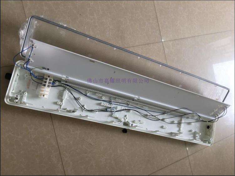 飛利浦WT980 Ex LED防爆燈防爆支架燈